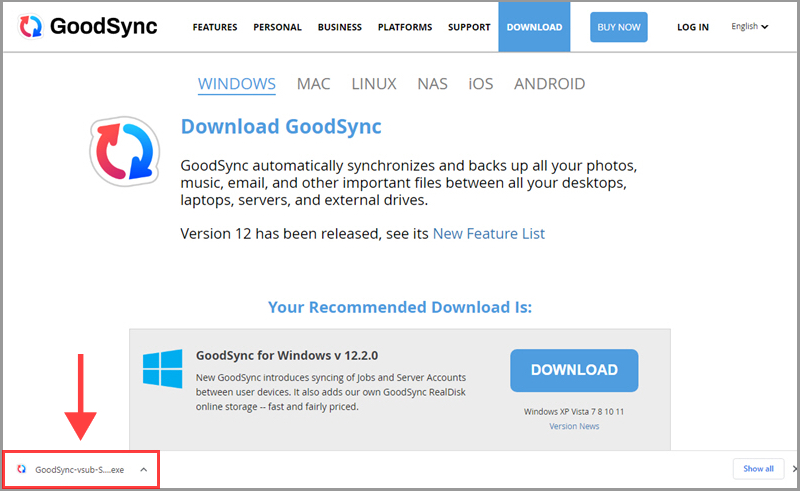 執行 GoodSync Windows 安裝包